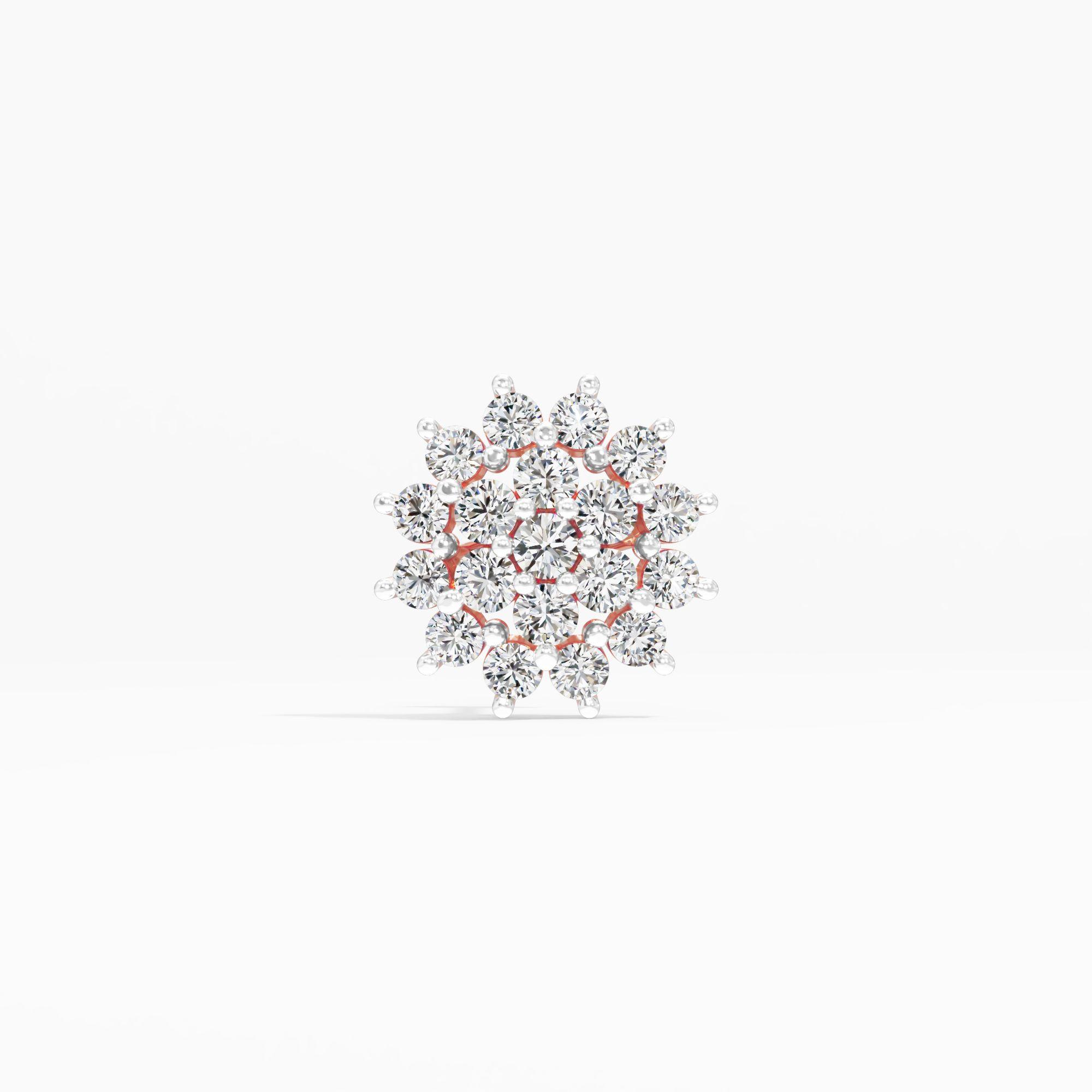 Double Halo Starburst Cluster Nosepin