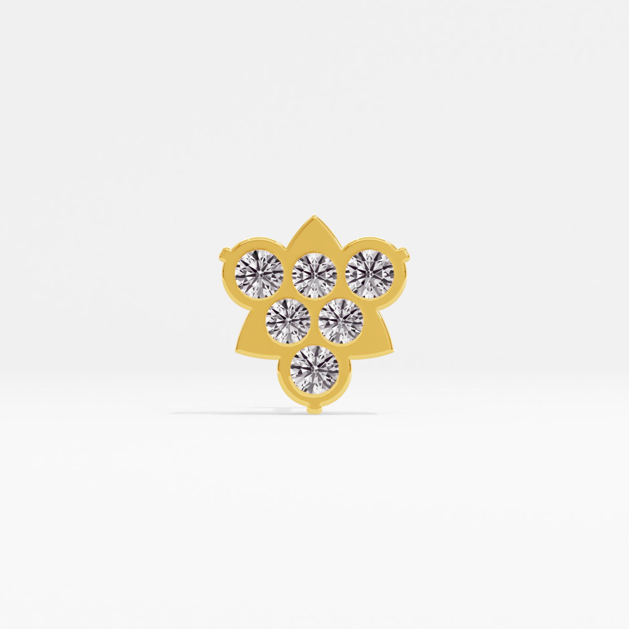 Traditional Beauty Cluster Nose Pin